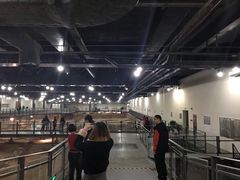 -南越王博物院(王宫展区)