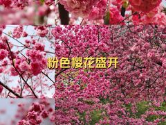 -昆明动物园