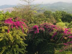 -高榜山景区