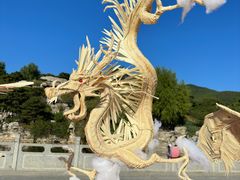 -北京西山国家森林公园