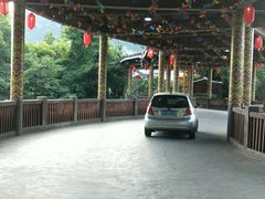 -大自然(鲁家村店)
