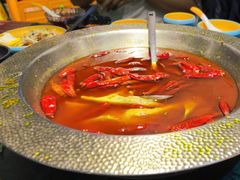 -麻田会 ·鲜活现烹·牛蛙火锅(珠江新城维家思广场店)