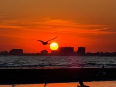 -老虎石海上公园