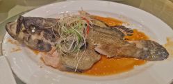 -西安索菲特人民大厦酒店·宴会厅