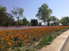 -聚宝渔港.五钻酒家(上地店)