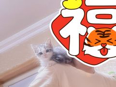 -达爱动物医院·犬猫分区·CT·复杂眼科(远洋山水分院)