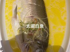 -森隆饭庄(崇文门新世界百货店)