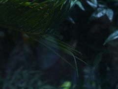 -大可堂普洱茶馆(襄阳南路馆)