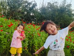 -祥源·阜阳生态乐园