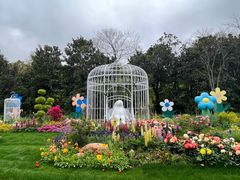 -上海共青森林公园