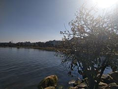 -才村湿地公园