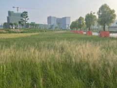 -映月湖公园