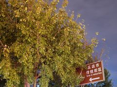 -晋江五店市传统文化旅游区