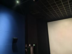 -万达影城(闵行颛桥万达广场杜比影院店)