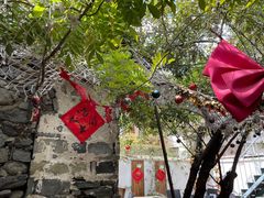 -喵屿·大理花园猫咖