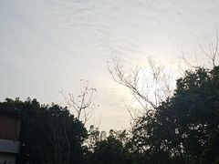 -中国石化加油站(武隆服务区北侧站)