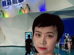 -泉城欧乐堡海洋极地世界