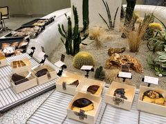 提拉米苏起酥-OUR Bakery(SKP-S店)