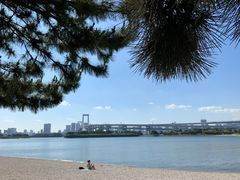 -台场海滨公园船码头