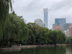 -团结湖公园