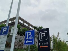 -徐泾东地铁站会展中心-地面停车场