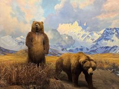 -美国自然历史博物馆