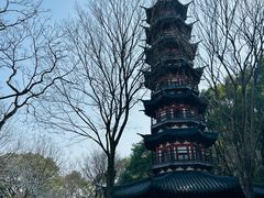 -上海佘山国家森林公园西佘山园