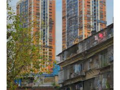 -溪岸路花鸟市场