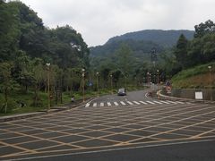 -峨眉山报国寺