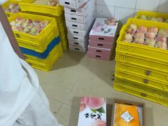 -老袁家蜜桃农场·阳山水蜜桃