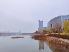 -金沙湖公园