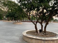 -罗浮山嘉宝田森林温泉度假酒店