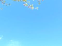 -金梦海湾浴场