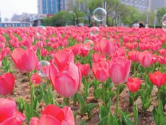 -泉城广场