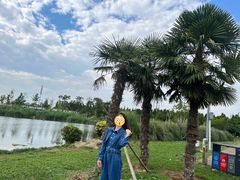 -呈贡滇池生态湿地公园