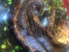 -小龙大肉面馆