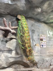 -Zoolung Zoolung动物主题公园(海信广场店)