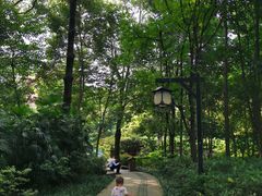 -成都市活水公园