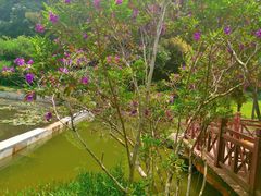-云溪植物园
