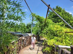 -呀路古热带植物园