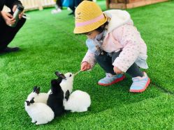 -萌宠亲子动物乐园(槐房万达店)