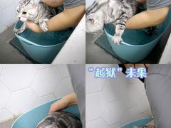 -瑞鹏宠物医院·眼科·皮肤·中兽医(大悦城分院)