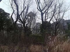 -新江湾城公园