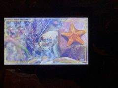 -沈阳海洋探索中心