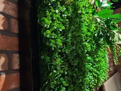 -盛江山自助料理(太原街万达店)