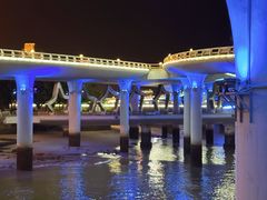 -演武大桥观景平台