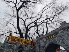 -大槐树寻根祭祖园