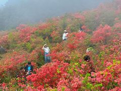 -瑞安圣井山景区