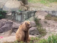 -宁波野生动物园