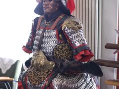 -国际咏春拳联合会拳馆俱乐部